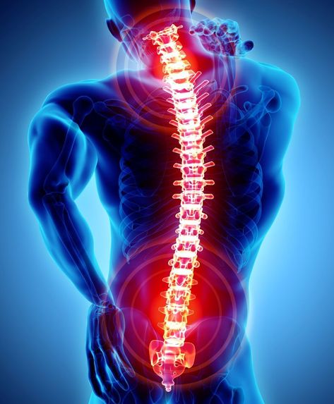 Robotic Spine, Bolesti Chrbta, Biblical Worldview, Spine Surgery, Sciatic Nerve Pain, Sciatica Pain, Sciatic Nerve, Back Pain Exercises, Hip Pain