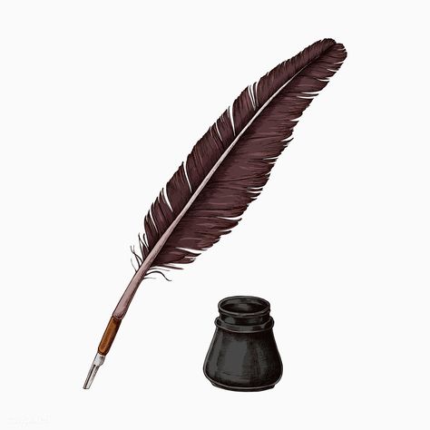 Hand drawn quill pen with an inkwell vector | premium image by rawpixel.com / sasi Pineapple Vector, Feather Quill Pen, Feather Drawing, Pen Icon, Quill And Ink, Feather Vector, Bottle Drawing, Feather Quill, Feather Pen