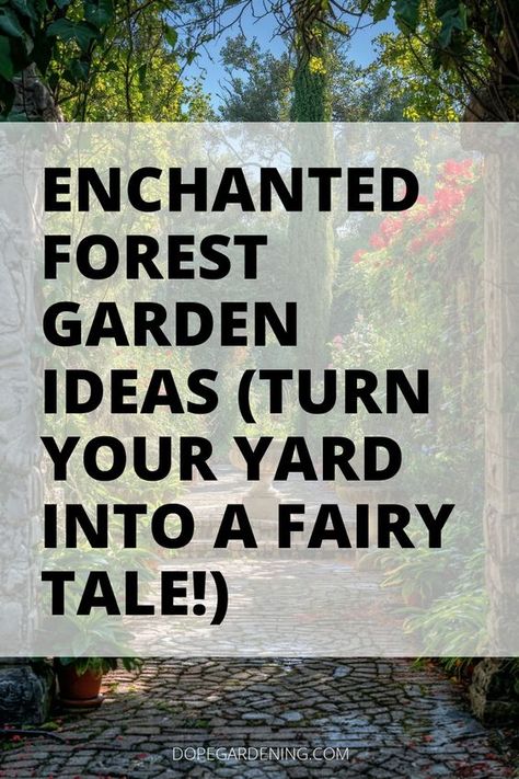 Step into a world of enchantment with these whimsical enchanted forest garden ideas. Transform your outdoor space with magical pathways, twinkling fairy lights, and hidden nooks for woodland creatures. Discover mystical fountains, fairy houses, and moss-covered stones creating a whimsical atmosphere. Click for more details on how to create your own enchanted garden oasis full of wonder and charm! Enchanted Forest Garden Ideas, Fairy Moss Garden, Back Lawn Ideas, Magical Outdoor Spaces, How To Create A Secret Garden, Forested Backyard Ideas, Fairy Forest Ideas, Whimsical Garden Decor Diy, Mystical Garden Ideas