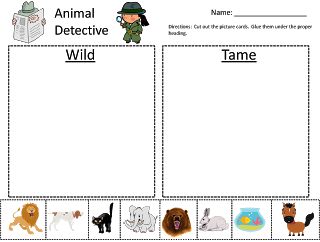 Wild Animals vs Tame Animals Kindergarten Sorting Activity Kindergarten Sorting Activities, Preschool Jungle, Animals Worksheet, Tame Animals, Animals Preschool, Animal Lessons, Pets Preschool Theme, Animal Worksheets, Thanksgiving Break