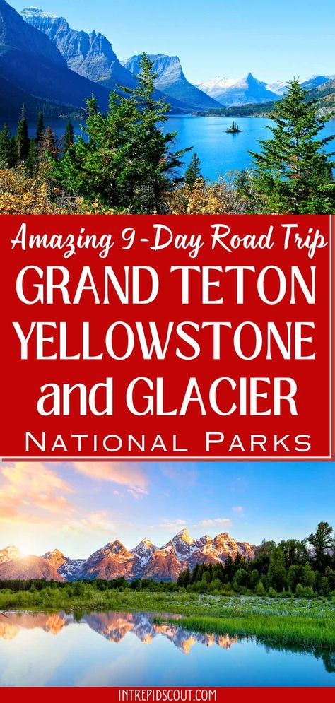 9-Day Grand Teton, Yellowstone, and Glacier Road Trip Yellowstone And Glacier National Park Itinerary, Jackson Hole Yellowstone Itinerary, Yellowstone To Glacier Road Trips, Yellowstone And Glacier Road Trip, Yellowstone Trip Planning, Yellowstone Road Trip Itinerary, Wyoming Montana Road Trip, Yellowstone Vacation Planning, Glacier National Park Vacation