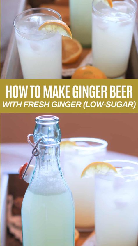 Fermented Beverages, Fermentation Station, Ginger Beer Drinks, Soda Stream Recipes, Homemade Ginger Beer, Ginger Ale Recipe, Ginger Beer Recipe, Homemade Ginger Ale, Lampe Steampunk