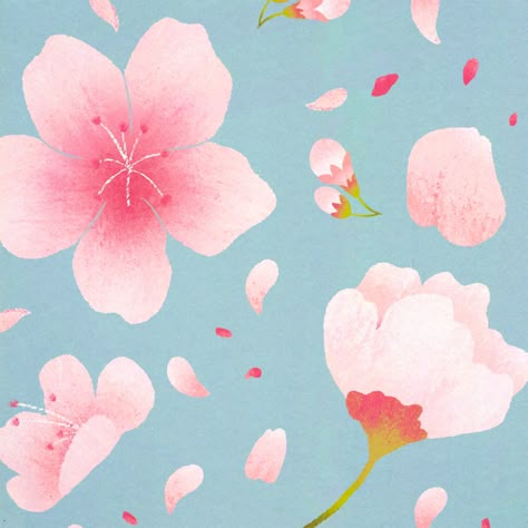 Painted style cherry blossom pattern. Includes flowers, petals and buds. Pink and feminine Sakura Illustration Flower, Cherry Blossom Graphic, Sakura Flower Illustration, Starbucks Ads, Pink Flower Illustration, Sakura Illustration, Cherry Blossom Illustration, Cherry Illustration, Blossom Illustration