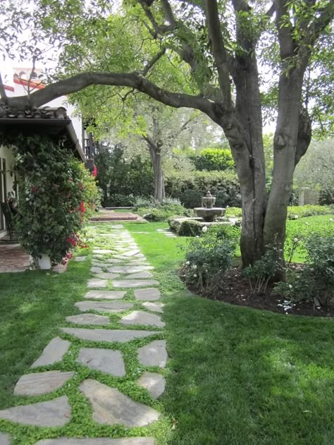 How To Improve Your Garden – Comfort Spring #gardening #landscaping #gardenplan #improvegarden #gardenchanges Garden Walkways, Stones For Garden, Backyard Walkway, Walkway Landscaping, Concrete Stepping Stones, Pathway Landscaping, How To Garden, Garden Stepping Stones, Garden Walkway