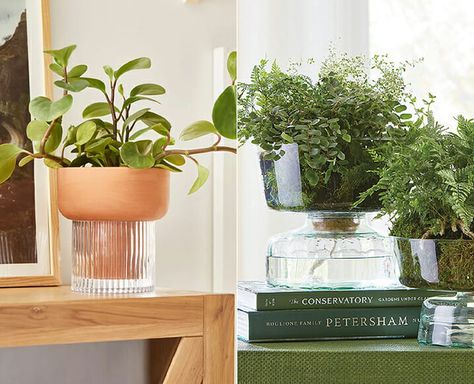 The 8 Most Beautiful Self-Watering Planters We Could Find How To Make A Self Watering Planter, Self Watering Planter Diy, Diy Self Watering Planter, Self Watering Plants, Watering Pot, Plant Accessories, Conservatory Garden, Self Watering Pots, Hanging Plant Holder