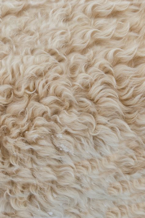 Fabric Texture Pattern, Fur Texture, Texture Inspiration, Fabric Textures, Fluffy Rug, Photos Hd, Shaggy Rug, New Images, Fabric Texture