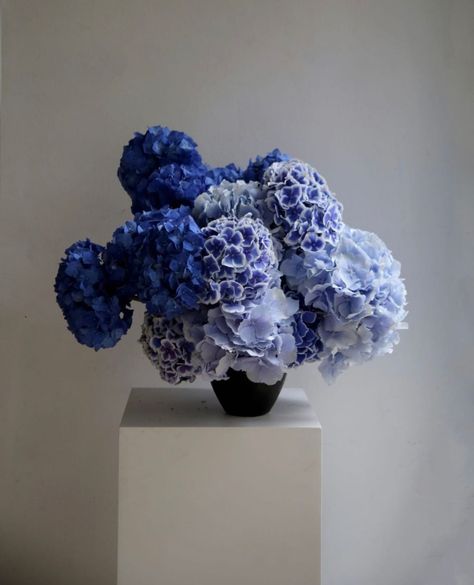 Blue Floral Arrangements, Hydrangea Arrangements Wedding, Wedding Hydrangeas, Blue Hortensia, Blue Flower Arrangements, Hydrangea Blue, Hydrangea Arrangements, Blue Florals, Floral Arrangements Wedding