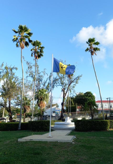 The Barbados flag flying proudly in Queen's Park in our capital city Bridgetown Barbados Photo Ideas, Barbados Culture, Barbados Aesthetic, Barbados Bridgetown, Barbados Vacation, Island Gyal, Barbados Flag, Bridgetown Barbados, Caribbean Culture