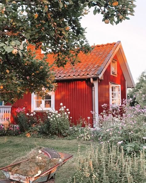 Before and After: A Rundown Croft Becomes an Idyllic Swedish Summer Cottage Cottage Kitchen Renovation, Swedish Cabin, My Scandinavian Home, Swedish Cottage, Visit Sweden, Summer Cabin, Swedish Summer, Scandinavian Summer, Red Cottage