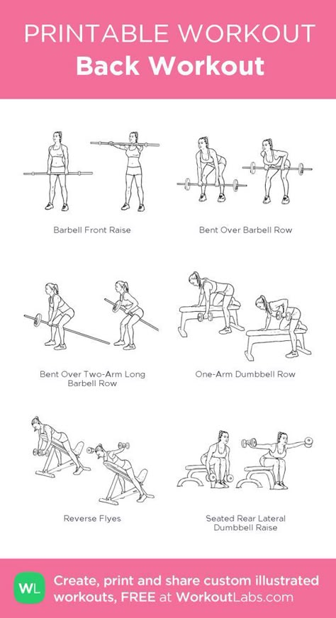 Back And Bicep Workout Gym, Workouts Programs, Bicep Workout Gym, Beginners Gym Workout, Weekly Gym Workouts, Beginners Gym Workout Plan, Upper Body Workout Gym, Gym For Women, Back And Bicep Workout