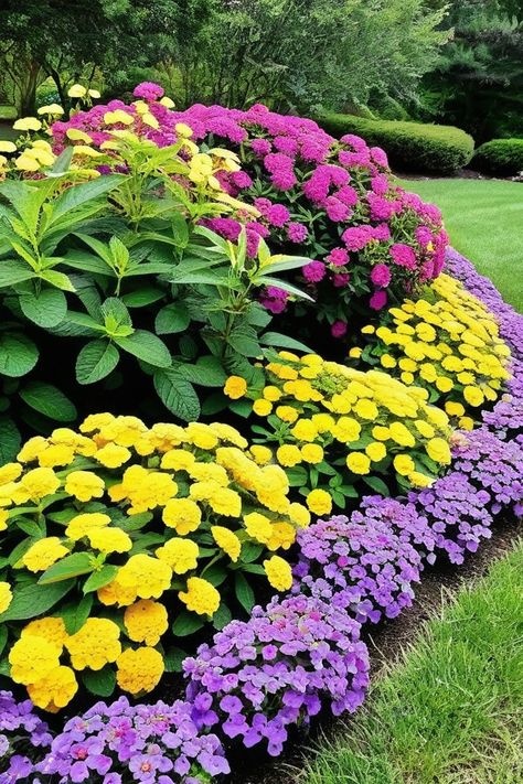 Hardy Perennials Full Sun, Rock And Flower Garden Ideas, Perinnals Flowers Full Sun, Full Sun Flowers That Bloom All Summer, Flower Beds In Front Of House Full Sun, Full Sun Landscaping Ideas Front Yard, Morning Sun Plants, Outdoor Plants Full Sun, Full Sun Landscaping Ideas