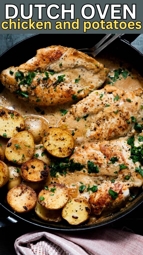 Easy Dutch Oven Chicken and Potatoes is delicious! Made with a delicious Boursin cheese cream sauce, this recipe is seriously addictive! Easy Chicken Dutch Oven Recipes, Oven Chicken And Potatoes, Dutch Oven Chicken Thighs, Dutch Oven Chicken Breast, Boursin Chicken, Easy Dutch Oven Recipes, Dutch Oven Meals, Wing Recipes Baked, Boursin Recipes