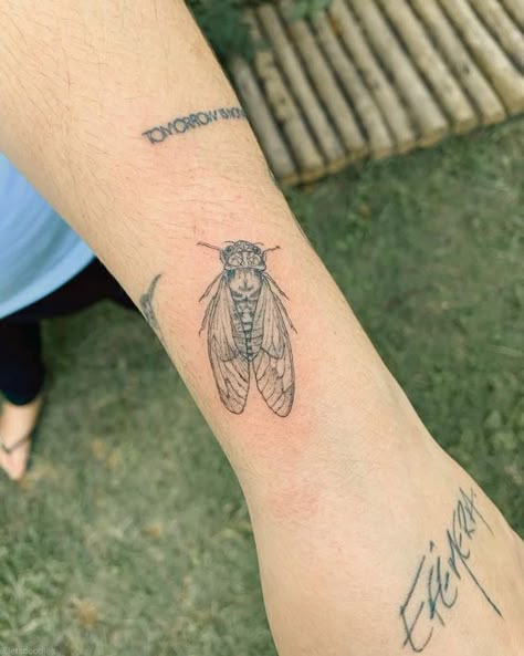 Rate This Tattoo ideas From ⭐1~10. SAVE & FOLLOW i will update everyweek. Cicadas Tattoo, Small Cicada Tattoo, Fine Line Bug Tattoo, Cicada Tattoo Design, Cicada Aesthetic, Small Bug Tattoo, Bug Tattoos For Women, Bug Tattoo Design, Bug Tattoo Ideas