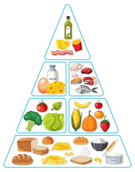 Food Pyramid Drawing, Food Group Pyramid, Healthy Food Pyramid, Pyramid Illustration, Pyramid Food, Food Pyramid Kids, Healthy Eating Pyramid, Healthy And Unhealthy Food, Food Pyramid