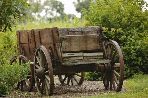 Antique Wagon, Farm Wagons, Horse Drawn Wagon, Old Wagons, Wagon Wheels, Wagon Cart, Wooden Wagon, Covered Wagon, Illinois State