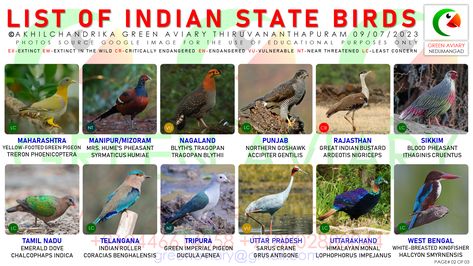 #THE #NATIONAL #BIRDS #OF #DIFFERENT #STATES #IN #INDIA #LIST #OF #INDIAN #STATE #BIRDS #STATE #BIRDS #OF #UNION #TERRITORIES #OF #INDIA #BY #AKHILCHANDRIKA National Animal Of India, Indian National Animal, National Bird Of India, Historical Places In India Chart, Union Territory Of India, Northern Goshawk, Green Pigeon, Union Territory, Thiruvananthapuram