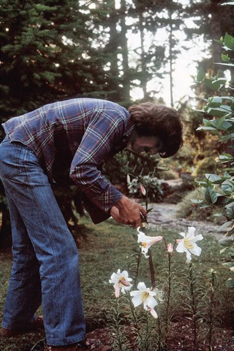 George Harrison in The Garden | The Genealogy of Style Friar Park, Happy Birthday George, Beatles George Harrison, Beatles George, Beatles Pictures, Liverpool City, This Is Your Life, I'm With The Band, Paul George