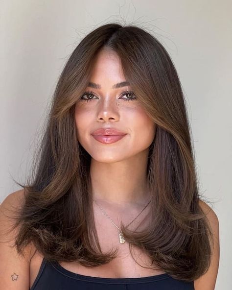 Mid Length Hair With Layers Dark Brown, Mid Length Hair Face Framing, Haircut For Middle Hair, Simple Hair Cuts Medium Length Hair, Mid Length 90s Haircut, Layer Cut Hairstyles, Light Layers Haircut, Monica Friends Hair, Middle Haircut For Women