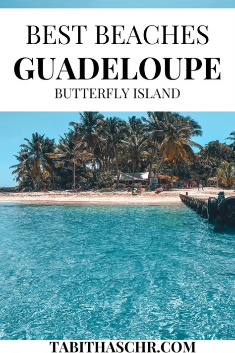 Guadalupe Caribbean, Things To Do In Antigua And Barbuda, Paul Gauguin Tahiti Cruise, Best Beaches In Barbados, Guadalupe Island, Guadeloupe Mountains National Park, Tropical Travel Destinations, Germany Travel Guide, Tropical Travel