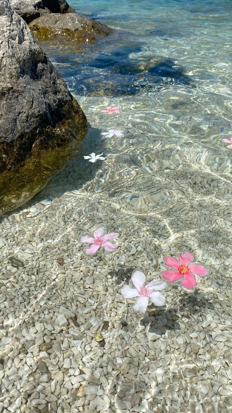 Summer Dream Wallpaper, Hd Water Wallpaper, Beachy Summer Wallpaper, Beach Waves Wallpaper Aesthetic, Summer Flower Wallpaper Iphone, Cartoon Beach Aesthetic, Tropical Ocean Aesthetic, Beach Flowers Aesthetic, Wallpapers Beach Aesthetic