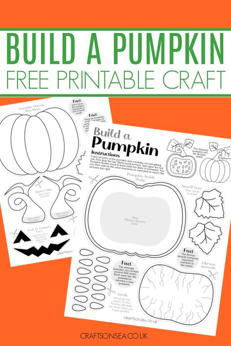 Build A Pumpkin Printable (FREE PDF) Life Cycle Of A Pumpkin Craft, Life Cycle Of A Pumpkin Free Printable, Parts Of A Pumpkin Craft, Inside A Pumpkin Craft, Pumpkin Printables Free, Free Pumpkin Printables, Fall Free Printables, Pumpkin Activities For Kids, Pumpkin Crafts For Kids