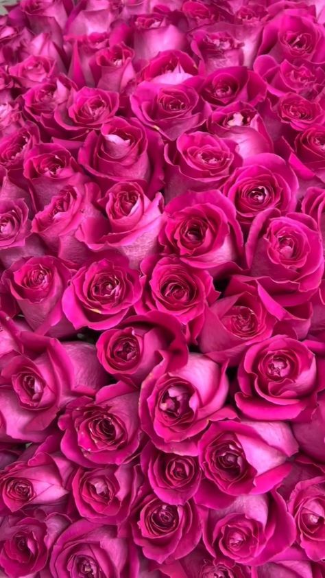 shhqex on Instagram Bubble Gum Pink Aesthetic, In My Barbie Era, Pink Roses Wallpaper, Dark Pink Flowers, Girly Backgrounds, Lovely Aesthetic, Spirituality Affirmations, Pink Flowers Wallpaper, Colour Shades