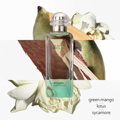 Hermes Fragrance, Paris Green, Sycamore Wood, Green Mango, Hermes Perfume, Lotus Blossom, The Nile, Woody Fragrance, Beauty Gift Sets