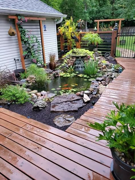 Coy Pond Ideas Backyards, Raised Pond Ideas, Diy Ponds Backyard, Backyard Pond Ideas, Taman Air, Something Green, Garden Pond Design, Diy Pond, Small Pond