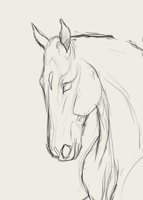 Horse Art Drawing, Horse Sketch, Soyut Sanat Tabloları, Horse Drawing, Horse Drawings, Easy Drawings Sketches, Digital Painting Tutorials, Art Drawings Sketches Creative, Animal Sketches