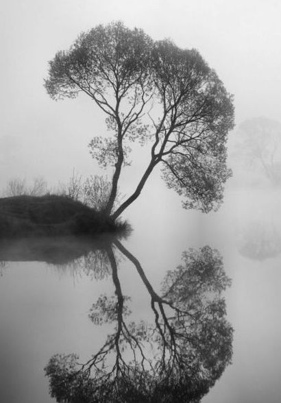 © Ansel Adams.      Through the water.., Ansel Adams Photos, Straight Photography, Gcse Photography, Bw Photography, Black And White Landscape, The Reflection, History Of Photography, Photography 101, Gcse Art