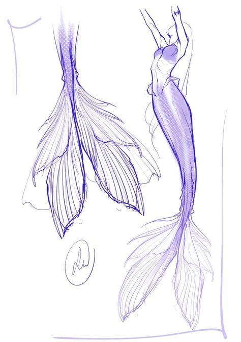 Mermaid Outfit Drawing, Mermaid Tail Drawing, Mermaid Reference, Mermaid Concept, Drawing Mermaid, Mermaid Sketch, Mermaid Drawings, Mermaid Art, 판타지 아트