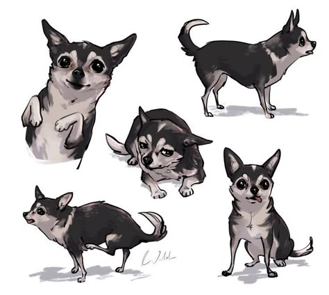 Jenna Julien, Chihuahua Drawing, Dog Design Art, Jenna Marbles, Chihuahua Art, Puppy Art, Animal Study, Canine Art, Procreate Ipad