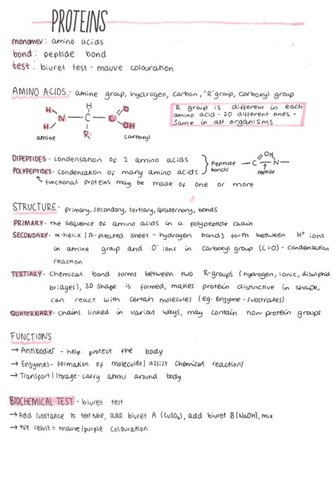 Protein Notes Biochemistry, Macromolecules Biology Notes, Biomechanics Notes, Medicine Notes Study, Protein Biology, Biochemistry Notes, Bio Notes, Biology Revision, A Level Biology