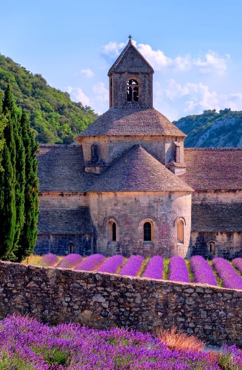 Summer in Provence is bursting with colour and fragrance. The vibrant lavender fields are a dream and have become an iconic symbol of this region. Near the village of Gordes, you can find a spectacular scenery at the Abbey of Sénanque, a gem of Romanesque architecture. Whether you are a photographer or not, in front of this historical abbey lies probably one of the most beautiful bright purple lavender fields, that will definitely fascinate you. Southern Travel, World Most Beautiful Place, The French Riviera, Sainte Marie, Garden Painting, Provence France, Landscape Pictures, Jolie Photo, Travel Packages