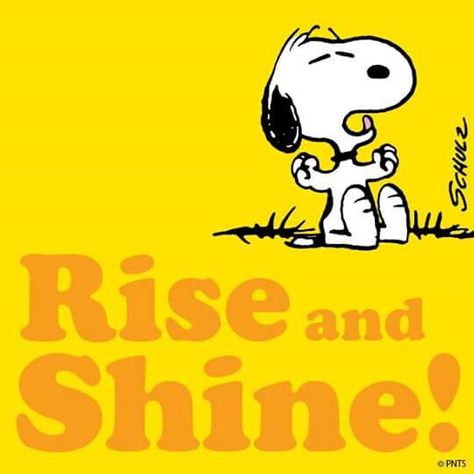 Rise and shine! Snoopy Morning, Charlie Brown Quotes, Good Morning Snoopy, Class Inspiration, Snoopy Images, Peanuts Cartoon, Peanuts Characters, Snoopy Quotes, Snoopy Pictures