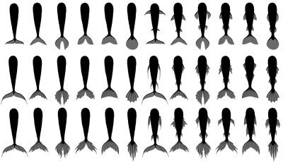 Mermaid tail types Fish Tail Reference, Mermaid Tops Drawing, How To Draw A Mermaid Tail, Fish Tail Drawing, Siren Tail Drawing, How To Draw Mermaids, Drawing Mermaid Sketches, Tails References, Mermaid Tails Drawing