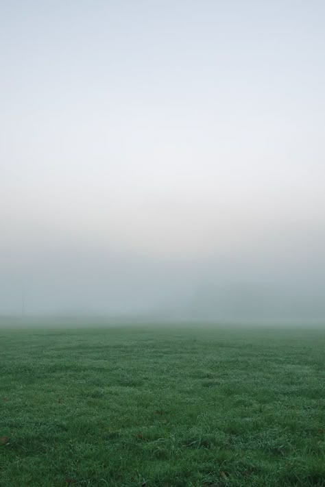 Grass Field Wallpaper, Green Field Aesthetic, Green Field Wallpaper, White And Green Wallpaper, White Green Aesthetic, Green And White Wallpaper, Grass Photoshop, Grass Aesthetic, Foggy Sky