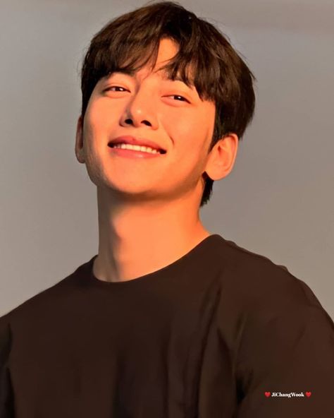 Ji Chang Wook Healer, Ji Chang Wook Photoshoot, Tik Tok Videos Funny, Ji Chang Wook Smile, Suspicious Partner, Actors Male, All Korean Drama, Kim Woo Bin, Bts Ot7