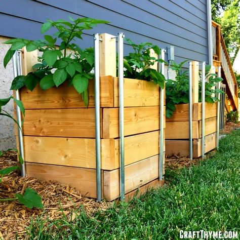 Potato Garden, Potato Planter, Grow Potatoes In Container, Potato Box, Potato Tower, Container Potatoes, Potato Gardening, Potato Planters, Container Vegetables