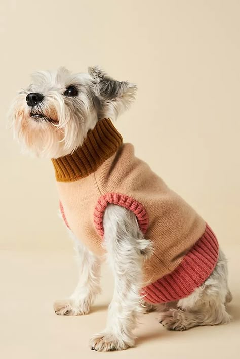 Nooee Pet | Anthropologie Animal Photoshoot, Pet Sweaters, Cute Dog Clothes, Dog Jumpers, Fun Toys, Dog Apparel, Dog Wear, Unique Accessories, Dog Sweater