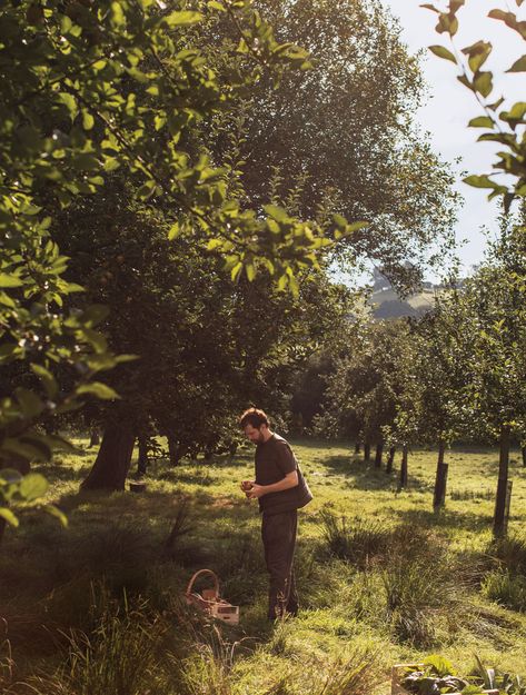 The Bucolic County of Somerset Is Forging a New Creative and Culinary Identity Halfway House, Cheese Maker, Green Pastures, Cow Parsley, Hay Fever, Uk Trip, Green Pasture, Cultural Studies, Countryside House