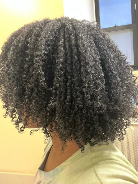 Type 4a Hair, Curly Hair Braid, Ringlet Curls, Natural Curly Hairstyles, Cabello Afro Natural, 4a Hair, 4b Hair, 4a Natural Hair, Beautiful Black Hair