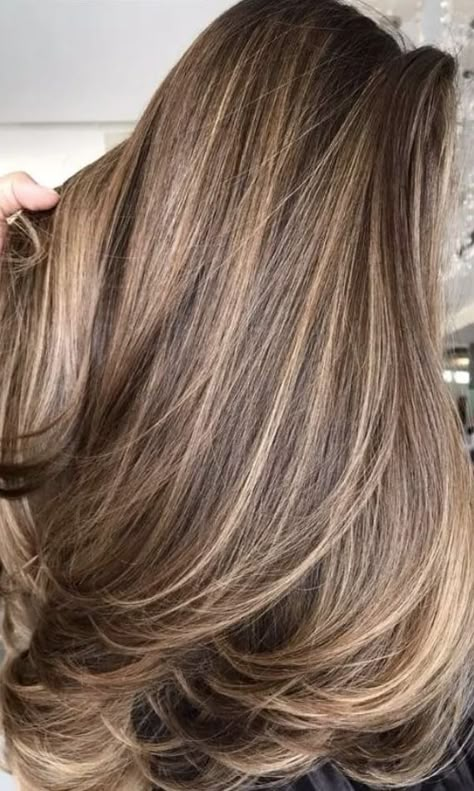 Hair Color Trends For Brunettes, Rambut Brunette, Dark Hair Color, Honey Brown Hair, Brown Hair Inspo, Brunette Hair With Highlights, Brown Hair With Blonde Highlights, Hair With Highlights, Dark Blonde Hair