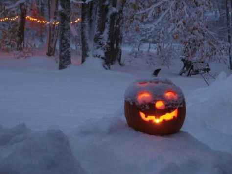 Autumn Pumpkins, Fall And Halloween, Winter's Tale, Season Of The Witch, Spooky Scary, Best Seasons, Fall Ideas, Samhain, Halloween Night