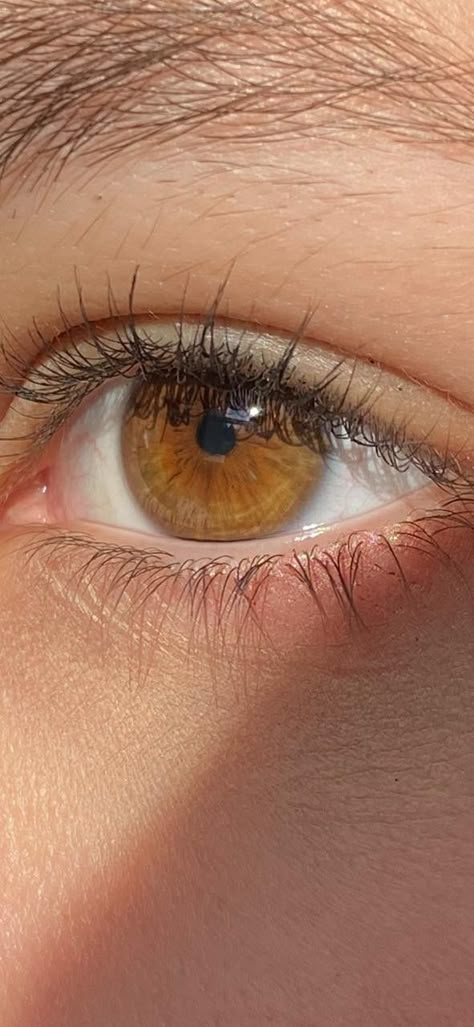 Cognac Eyes Color, Hazel Amber Eyes, Cognac Brown Eyes, Pale Brown Eyes, Hazel Eyes Women, Golden Amber Eyes, Hazel Brown Eyes Aesthetic, Brown Eyes With Gold Flecks, Brown Eyes Aesthetic Girl