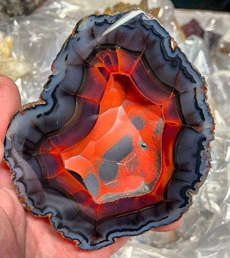 One of the best I've ever seen! Absolutely eye popping cabinet sized highly UV reactive blue Red Fox Agate from Patagonia. Follow for more… Types Of Agate, Color Me Mine, Stone World, Geode Art, Pretty Rocks, Cool Rocks, Uv Reactive, Crystal Healing Stones, Sticks And Stones