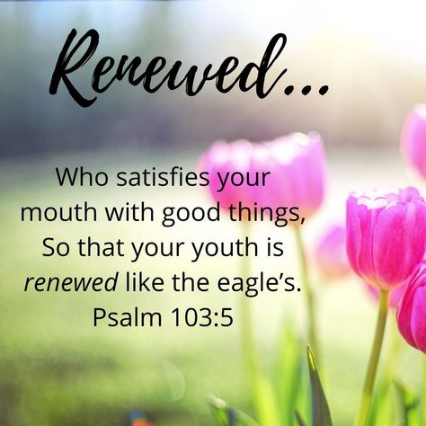 Renew your faith in our risen Lord, and be energized throughout your day today! "Who satisfies your mouth with good things, So that your youth is renewed like the eagle’s." Psalm 103:5 NIV #VerseOfTheDay #renew #restore #LiveWell God Goals Growing And Glowing, Psalm 103 5, Growing And Glowing, God Goals, Risen Lord, Psalm 103, Healing Scriptures, Words Of Comfort, Quotes That Inspire