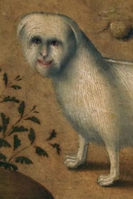 Who's dog is it or who is it anyway? Dog With Human Face, Cat With Human Face, Medieval Cat, Ugly Cats, Medieval Cats, Human Face Drawing, Funny Medieval, Medieval Painting, Medieval Memes