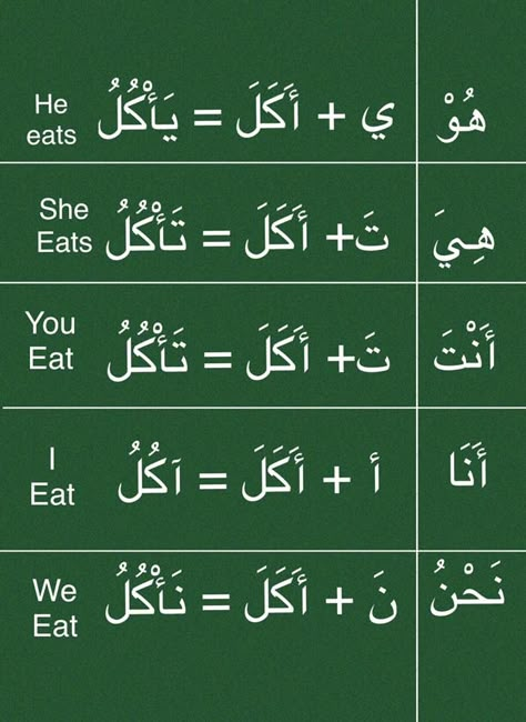 Learning Arabic For Beginners, Arabic For Beginners, Arabic Verbs, Arabic Vocabulary, Arabic Grammar, Arabic Sentences, Arabic Learning, Learn Arabic Online, Learning Languages Tips