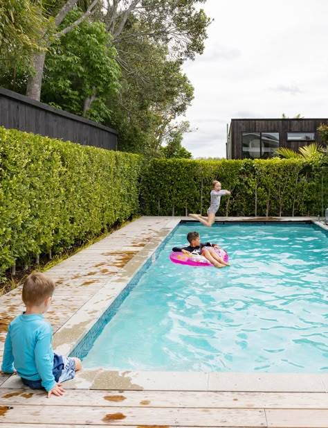 Queensland Backyard Landscaping, Pool And Trampoline Backyard, Spa Pool Ideas Small Backyards, Large Yard With Pool, Small Modern Pool, Family Pool Ideas, Kids In Pool, Small Yard Pools, Small Yard Pool